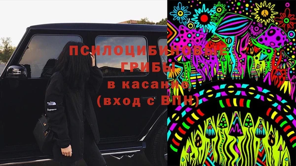 шишки Слюдянка
