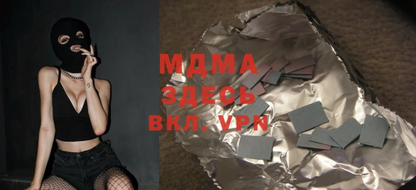 шишки Слюдянка