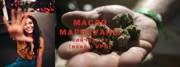 шишки Слюдянка
