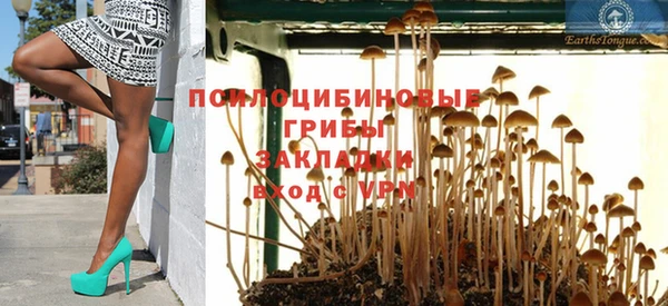 шишки Слюдянка